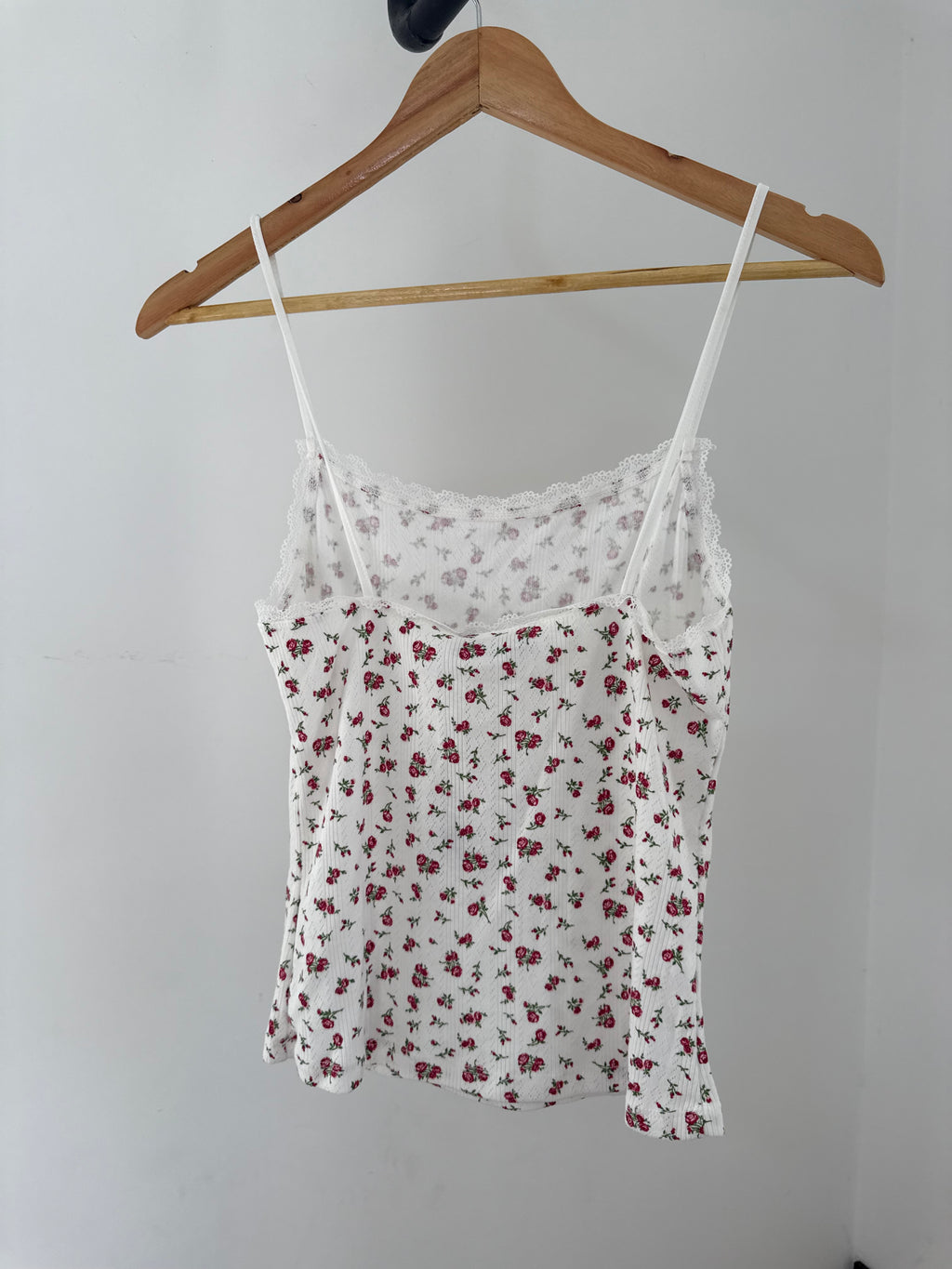 Picnic Tank