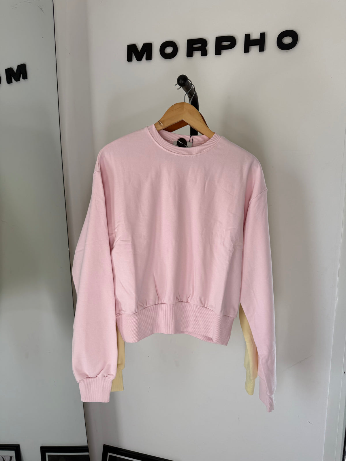 Basic Cotton Sweater