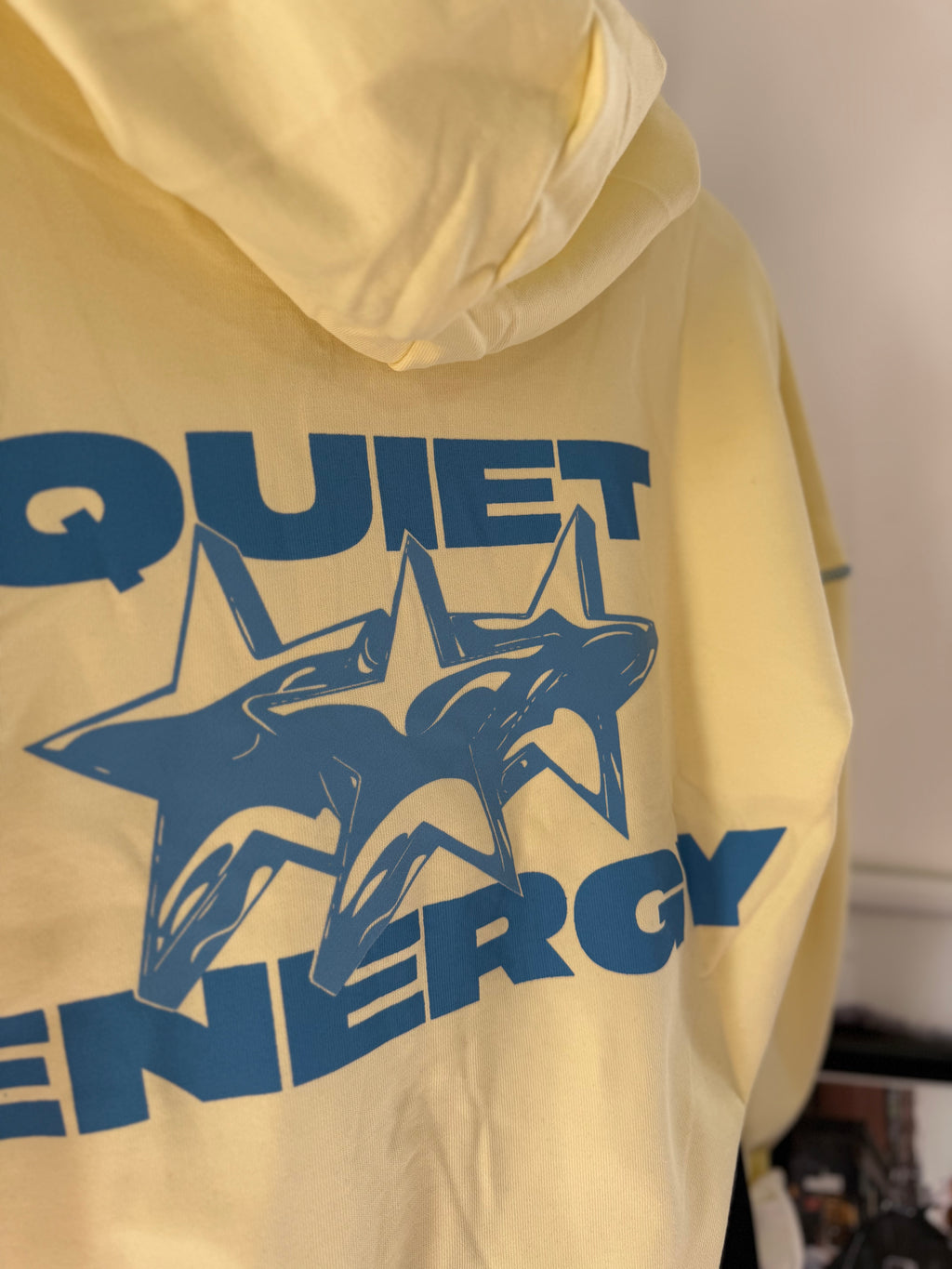 Quiet Energy Hoodie