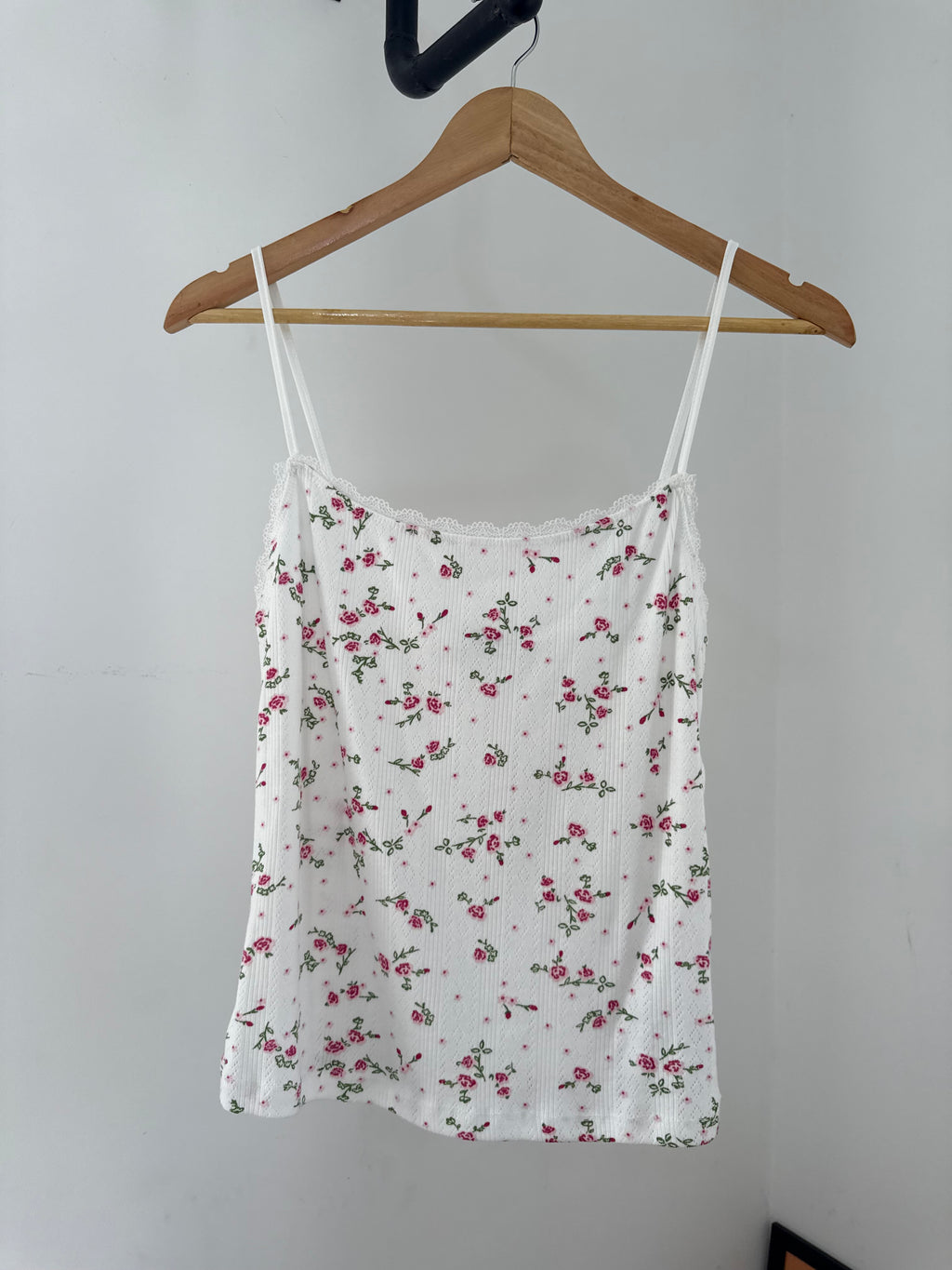 Picnic Tank