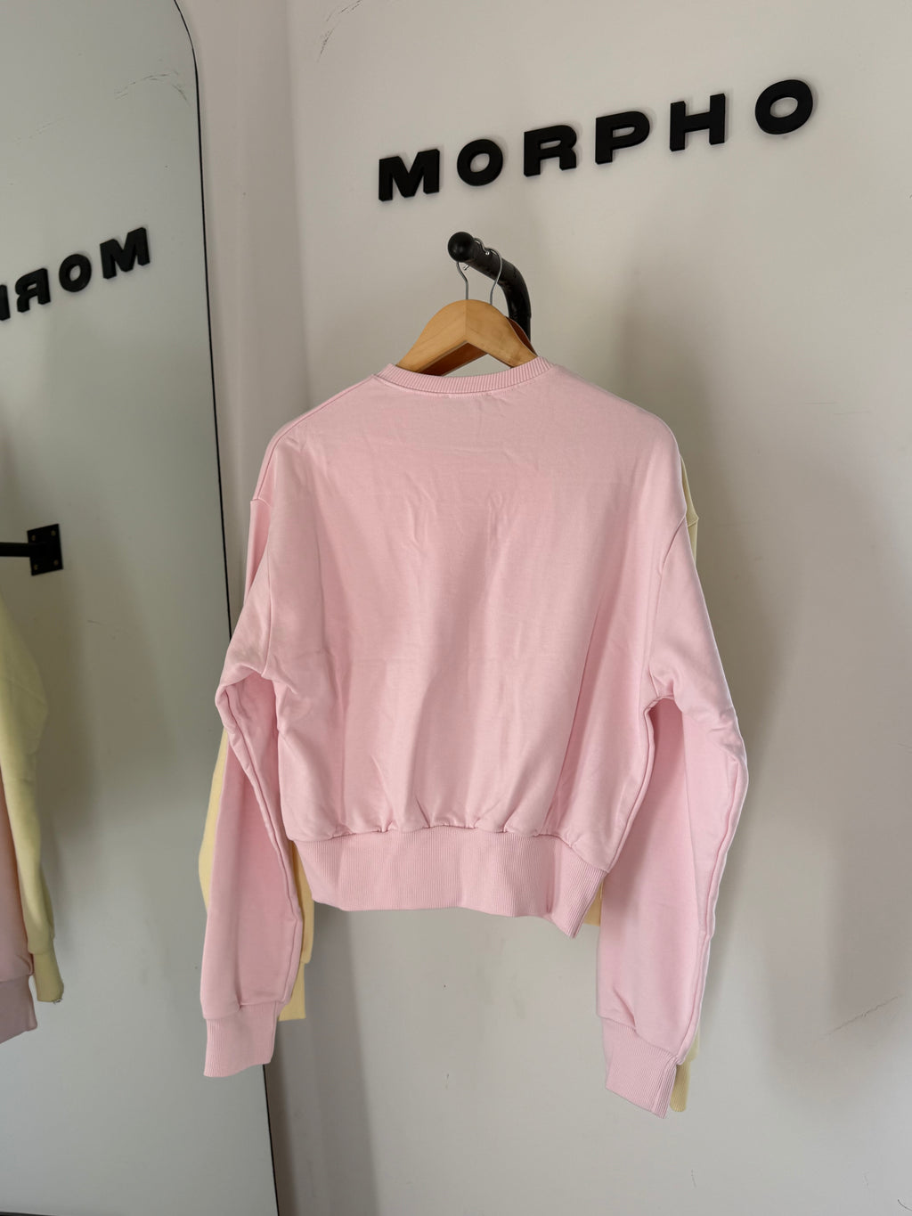Basic Cotton Sweater