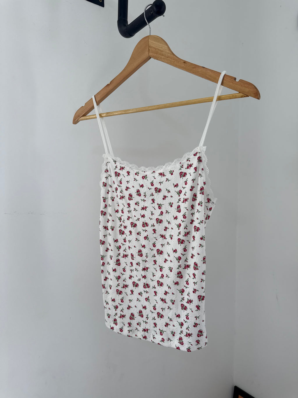 Picnic Tank