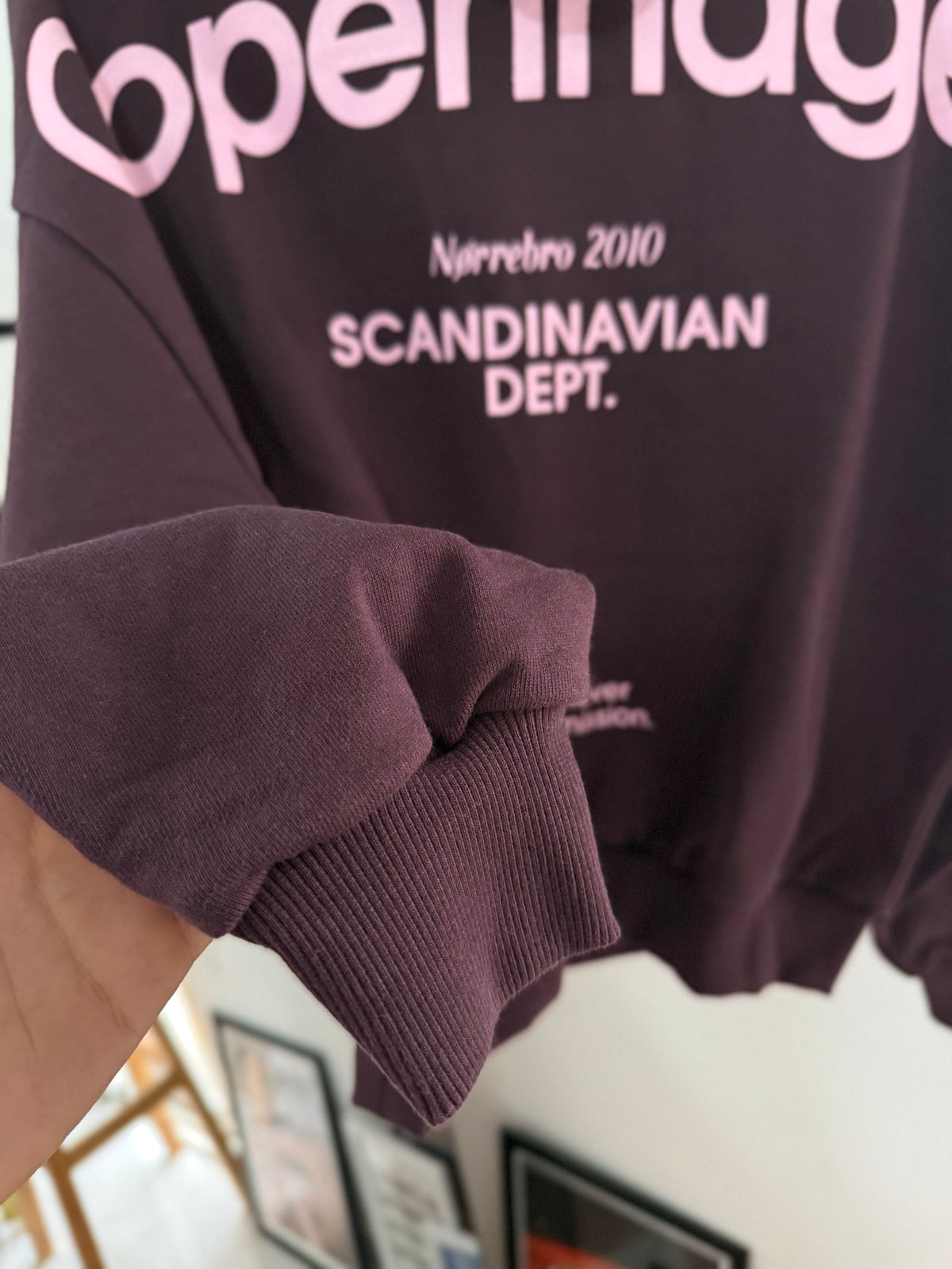 Copenhagen Hoodie